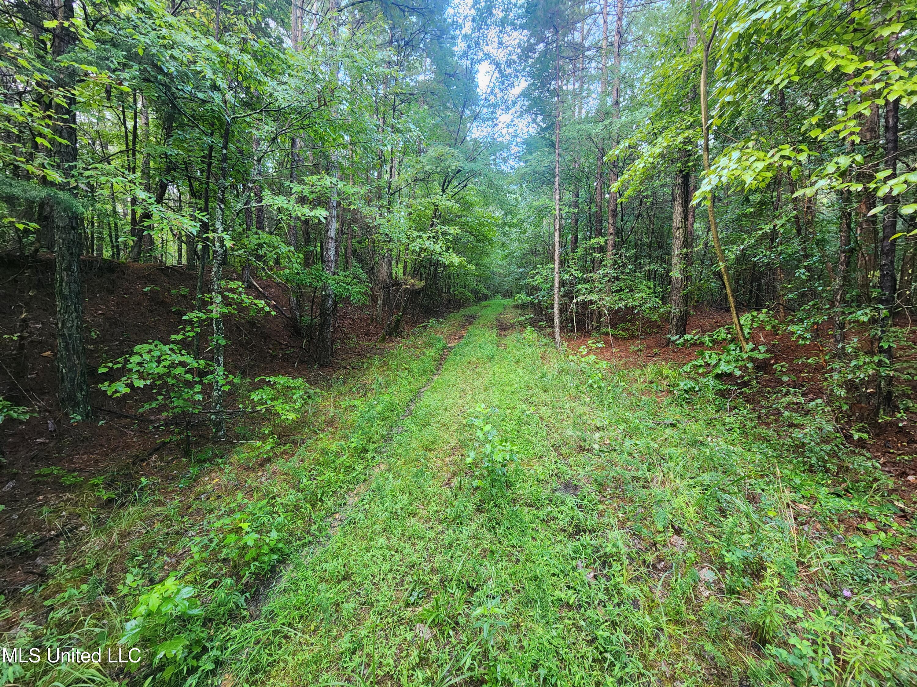 Spillers Road Potts Camp, MS 38659 - Photo 16 of 65 20250727_073218