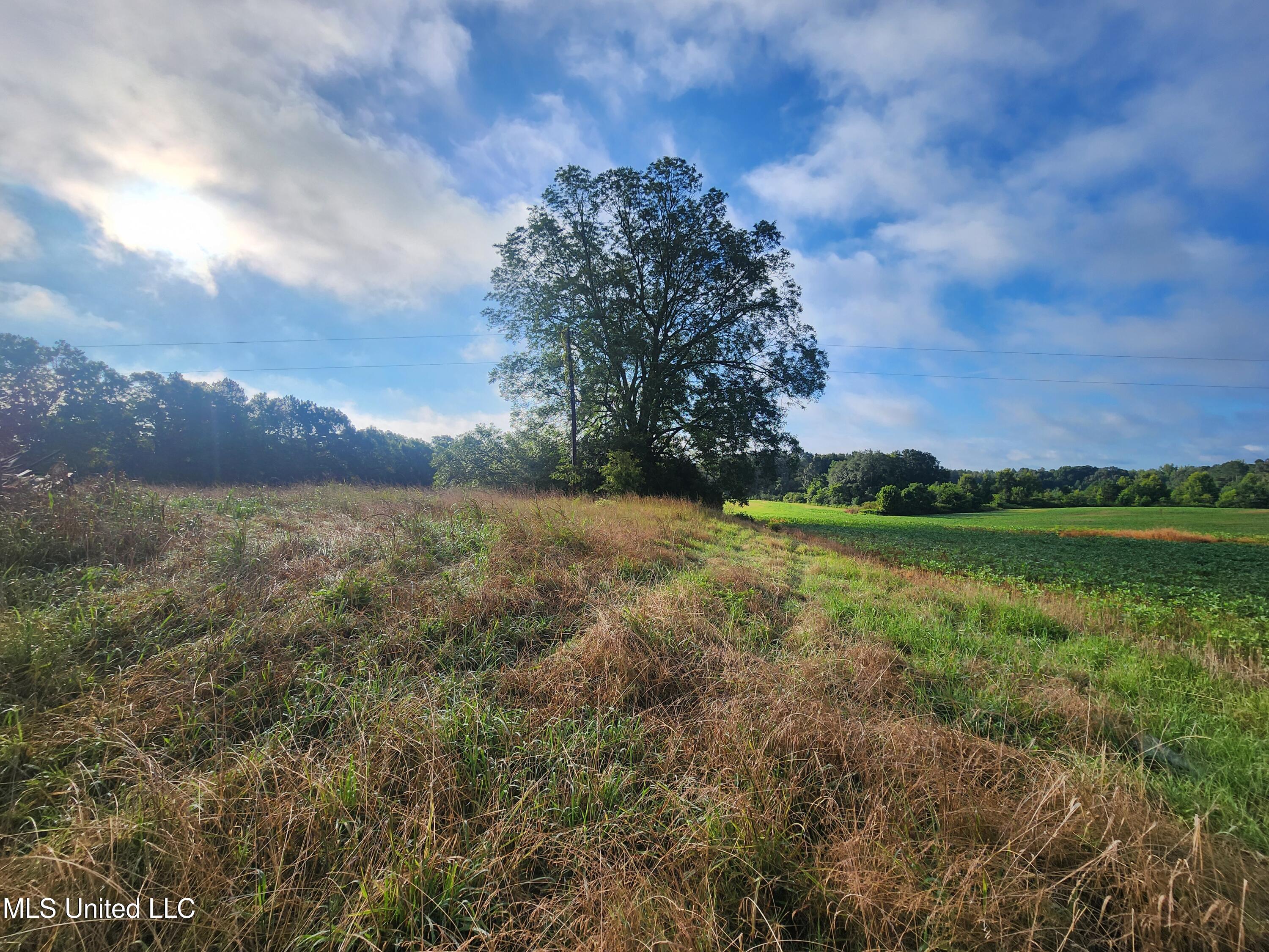 Spillers Road Potts Camp, MS 38659 - Photo 17 of 65 20250727_075109