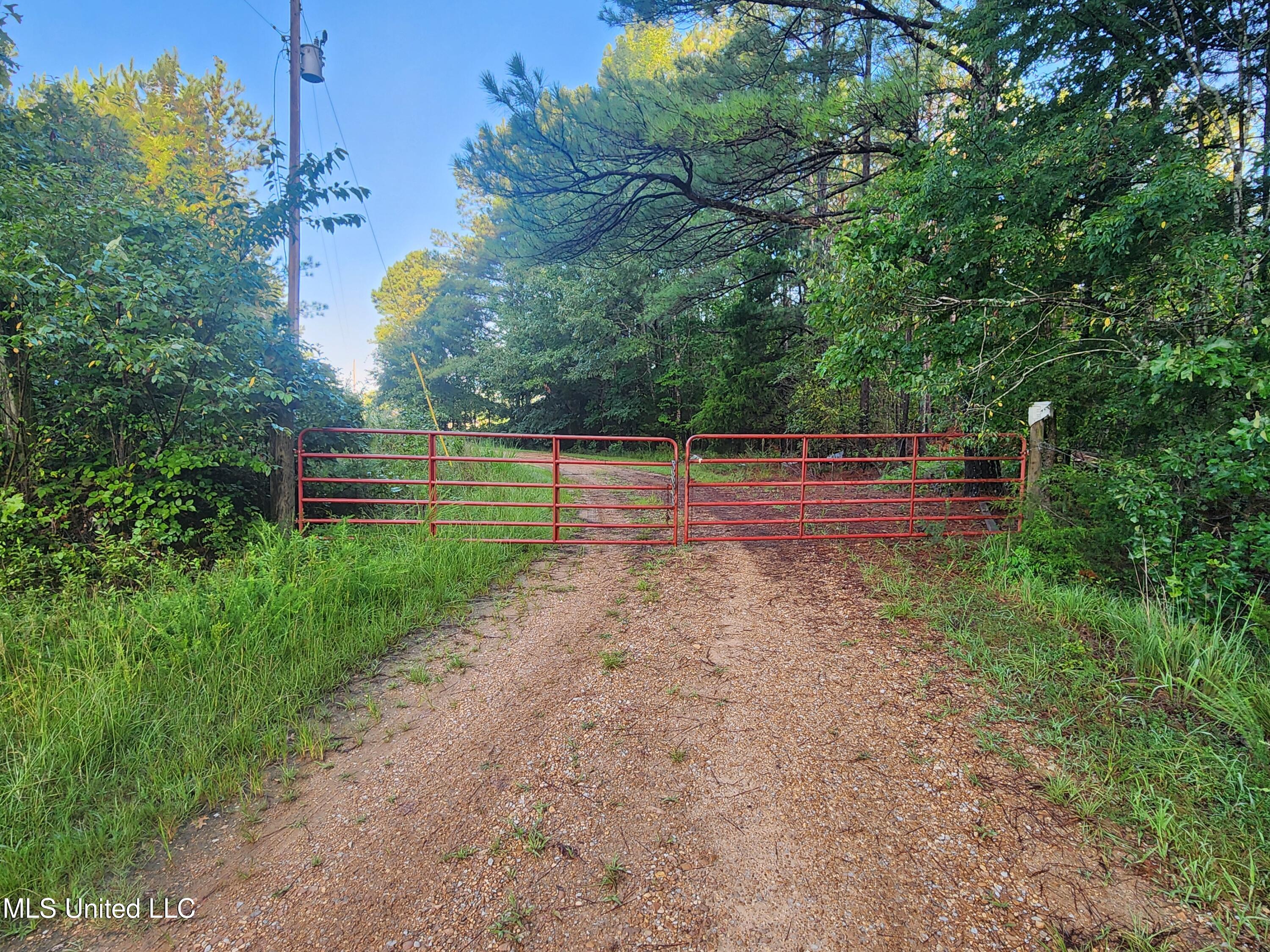Spillers Road Potts Camp, MS 38659 - Photo 3 of 65 20250727_065551