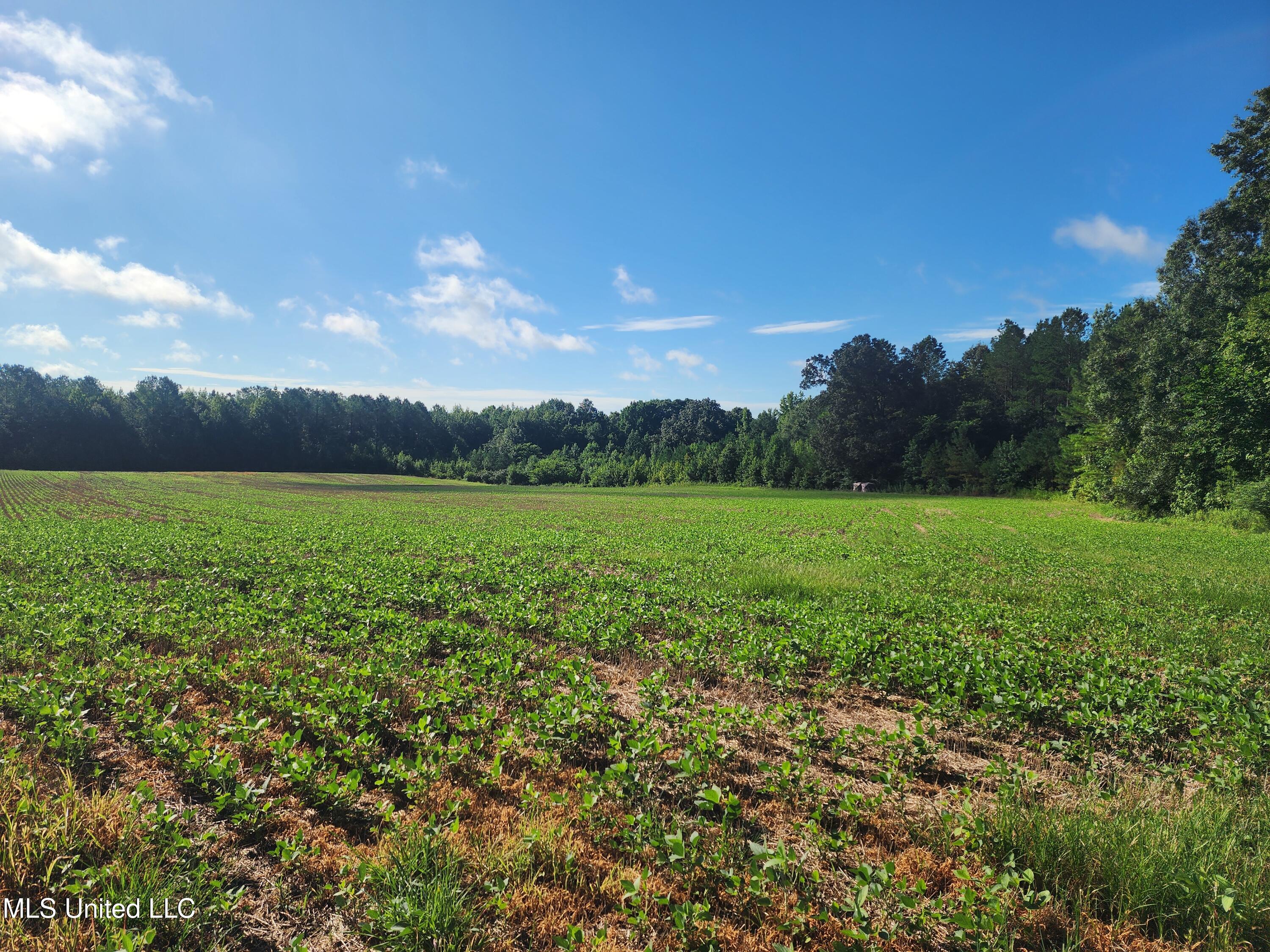 Spillers Road Potts Camp, MS 38659 - Photo 37 of 65 20250727_085336