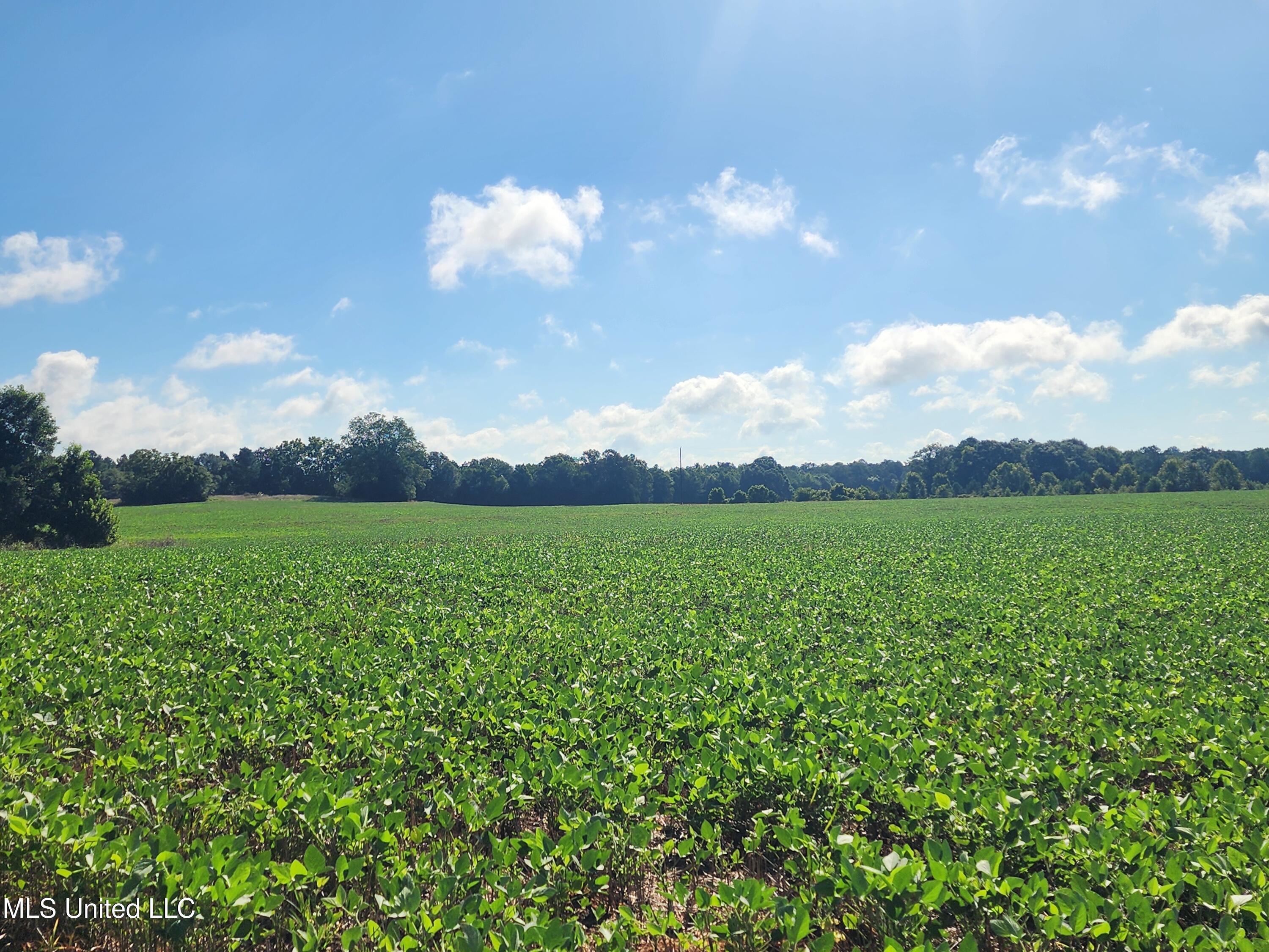 Spillers Road Potts Camp, MS 38659 - Photo 38 of 65 20250727_090637
