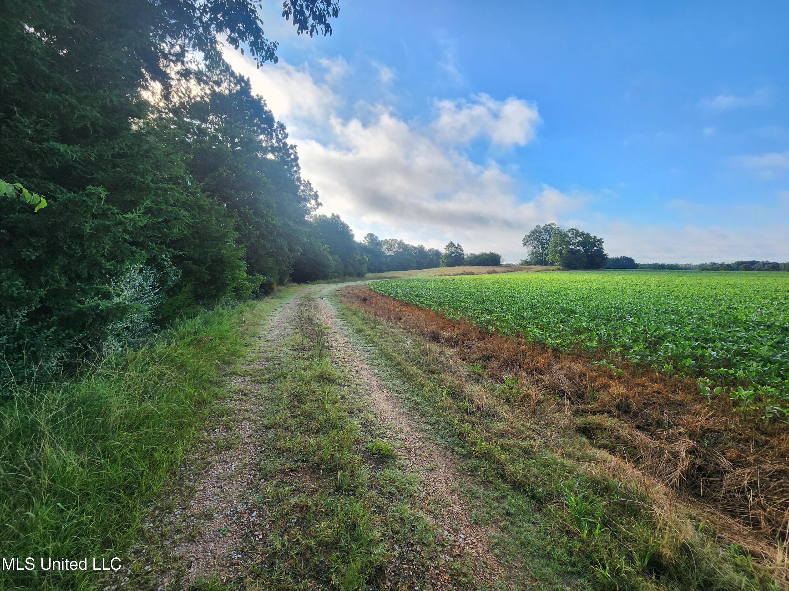 Spillers Road Potts Camp, MS 38659 - Photo 4 of 65 20250727_074645