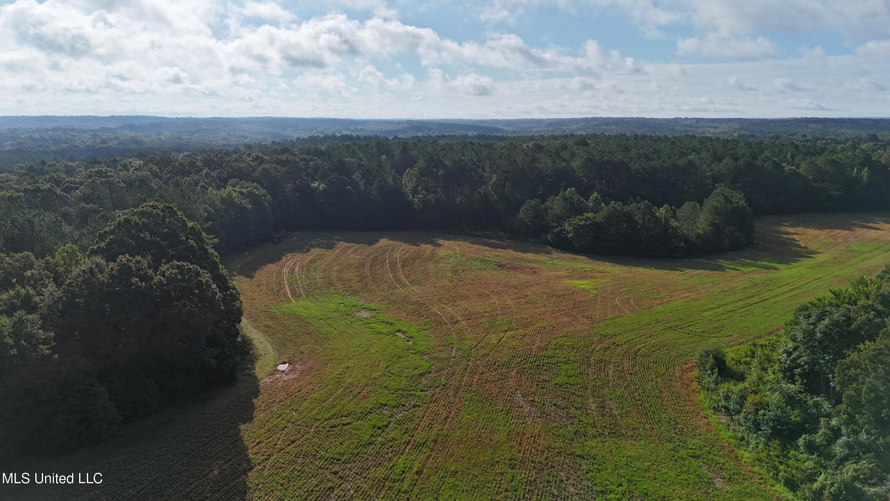 Spillers Road Potts Camp, MS 38659 - Photo 49 of 65 DJI_20250727084314_0630_D