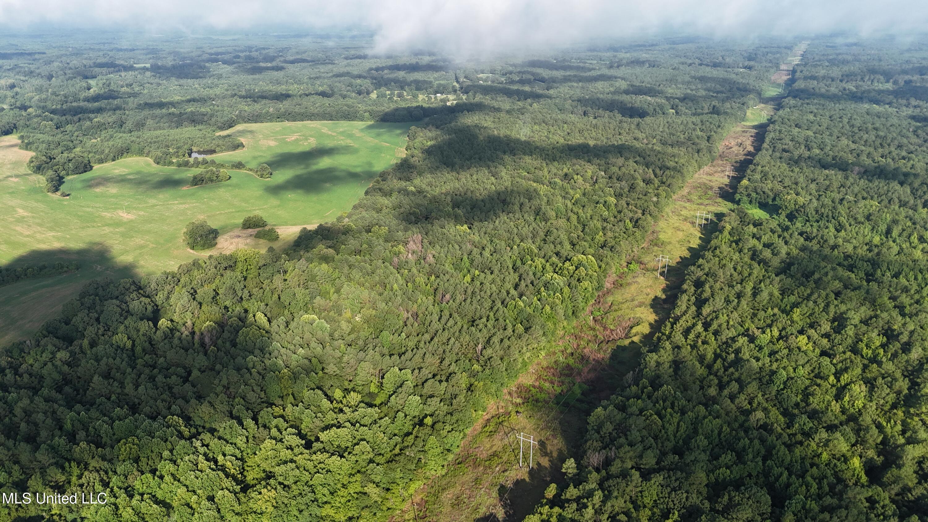 Spillers Road Potts Camp, MS 38659 - Photo 52 of 65 DJI_20250727083824_0619_D