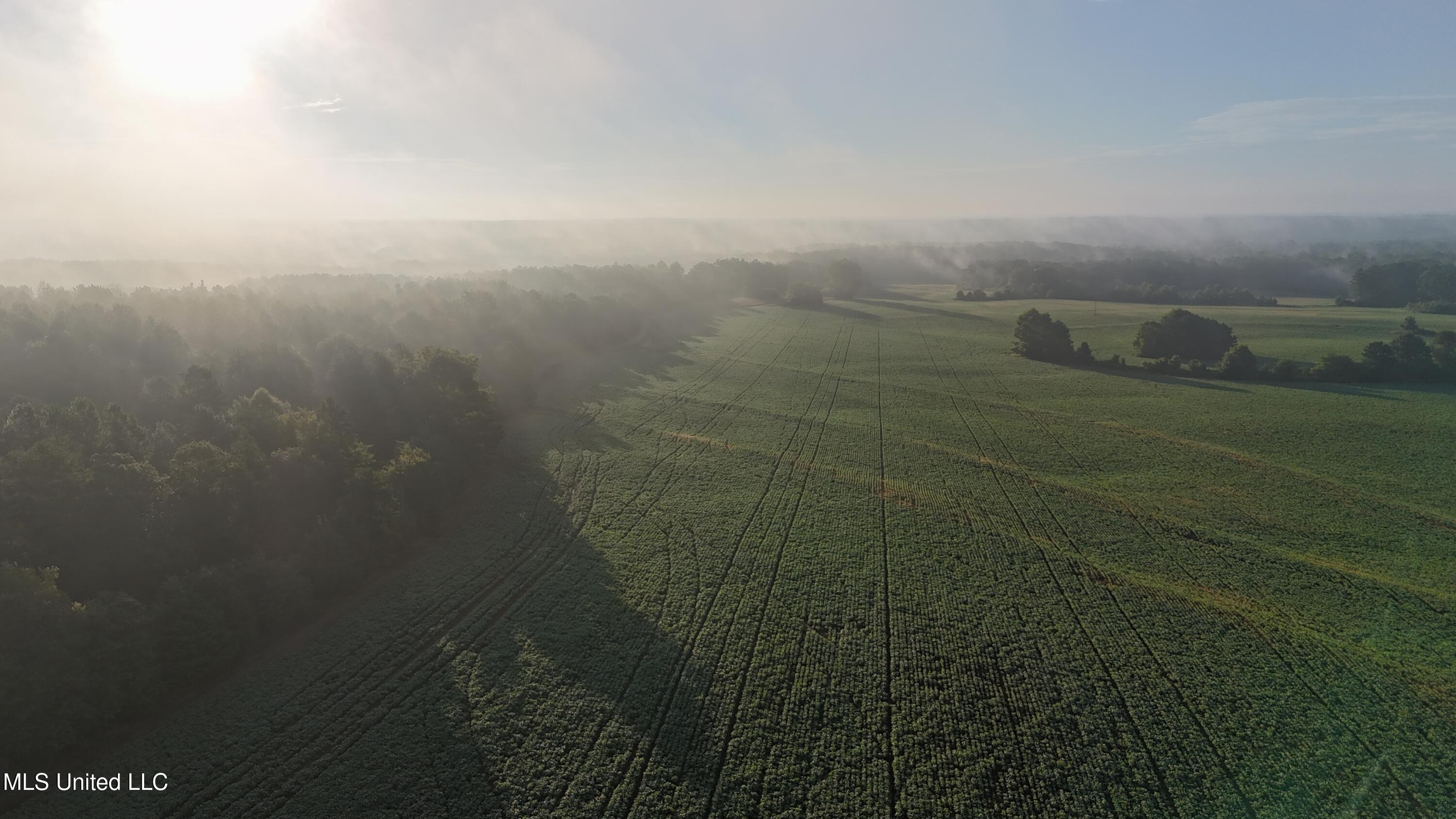 Spillers Road Potts Camp, MS 38659 - Photo 54 of 65 DJI_20250727072859_0562_D