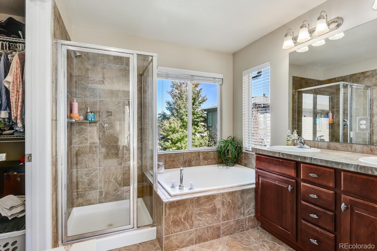 10842 Brooklawn Road Highlands Ranch, CO 80130 - Photo 16 of 35 a bathroom with a granite countertop tub a sink and a large mirror