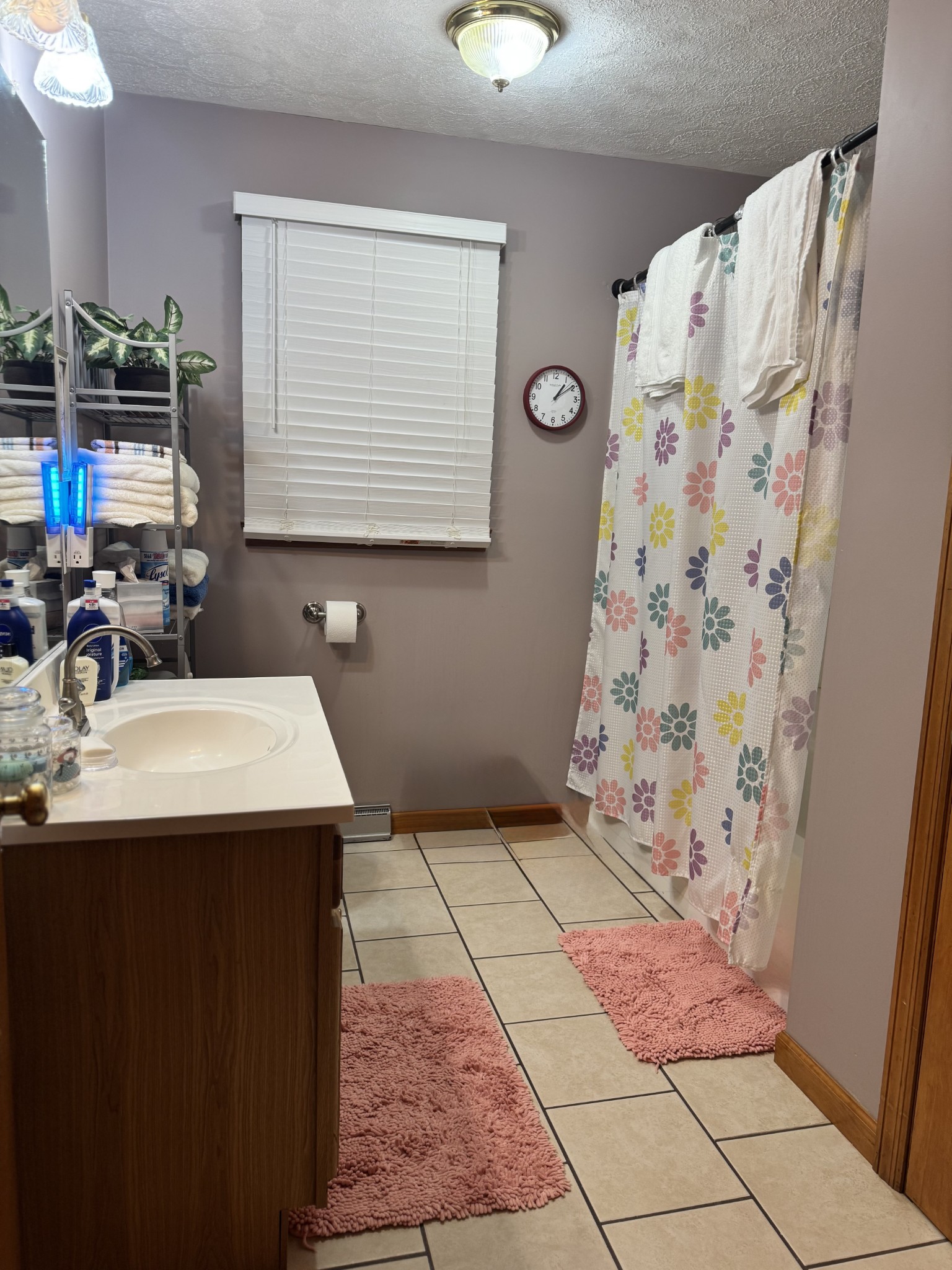 17 Turkey Creek Road Carthage, TN 37030 - Photo 28 of 40 a bathroom with a sink toilet and shower