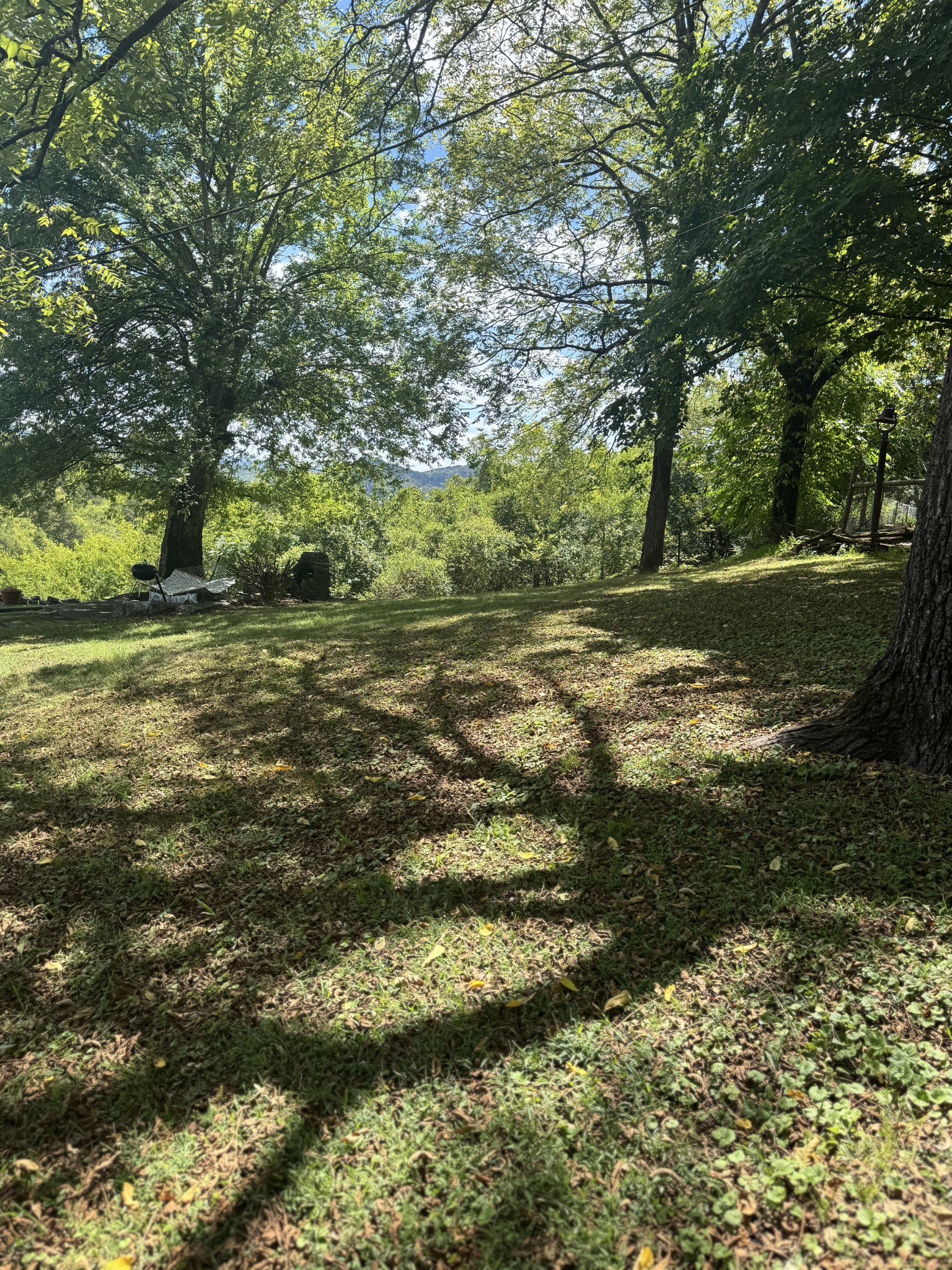 17 Turkey Creek Road Carthage, TN 37030 - Photo 34 of 40 a view of a trees with a yard
