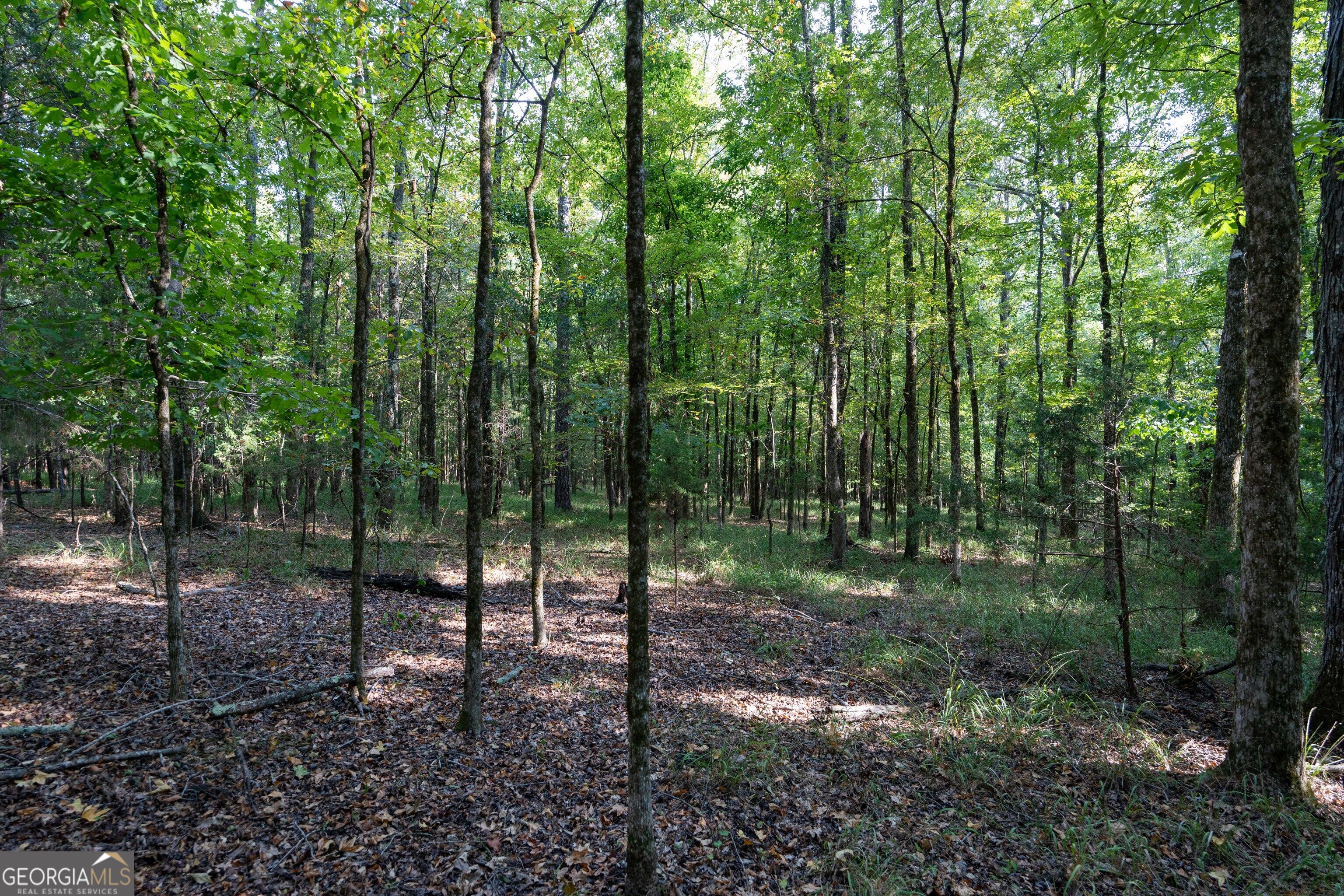 1419 Bobby Brown State Park Road Elberton, GA 30635 - Photo 75 of 90 Gallery Image 75