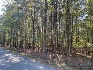 $29,900 | Lot 6 Big Lake Road, Pineville, LA 71360
