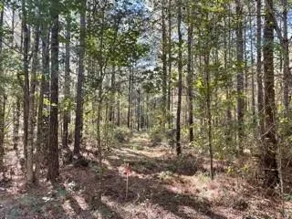 $29,900 | Lot 6 Big Lake Road, Pineville, LA 71360