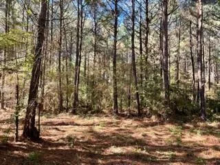 $29,900 | Lot 6 Big Lake Road, Pineville, LA 71360