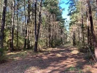 $29,900 | Lot 6 Big Lake Road, Pineville, LA 71360