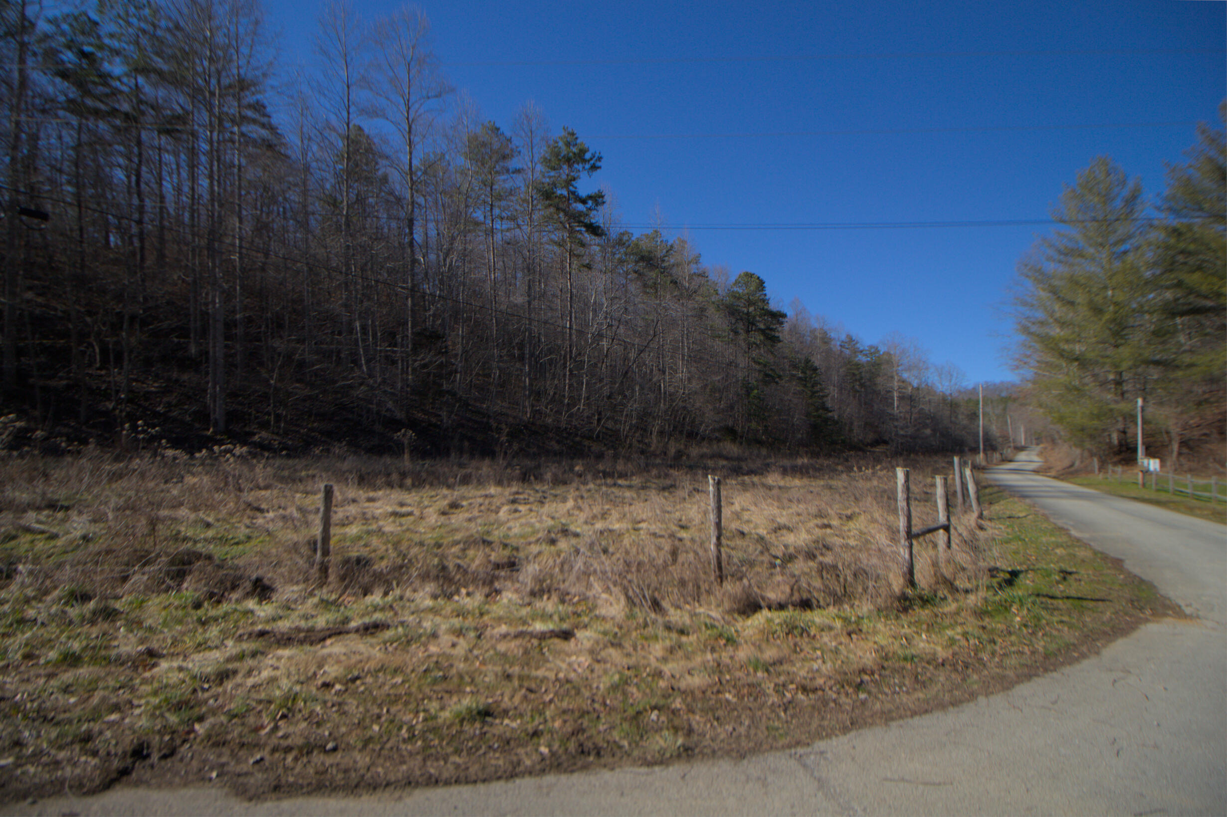 2006 Reed Branch Road Manchester, KY 40962 - Photo 42 of 53 fenced-in-pasture