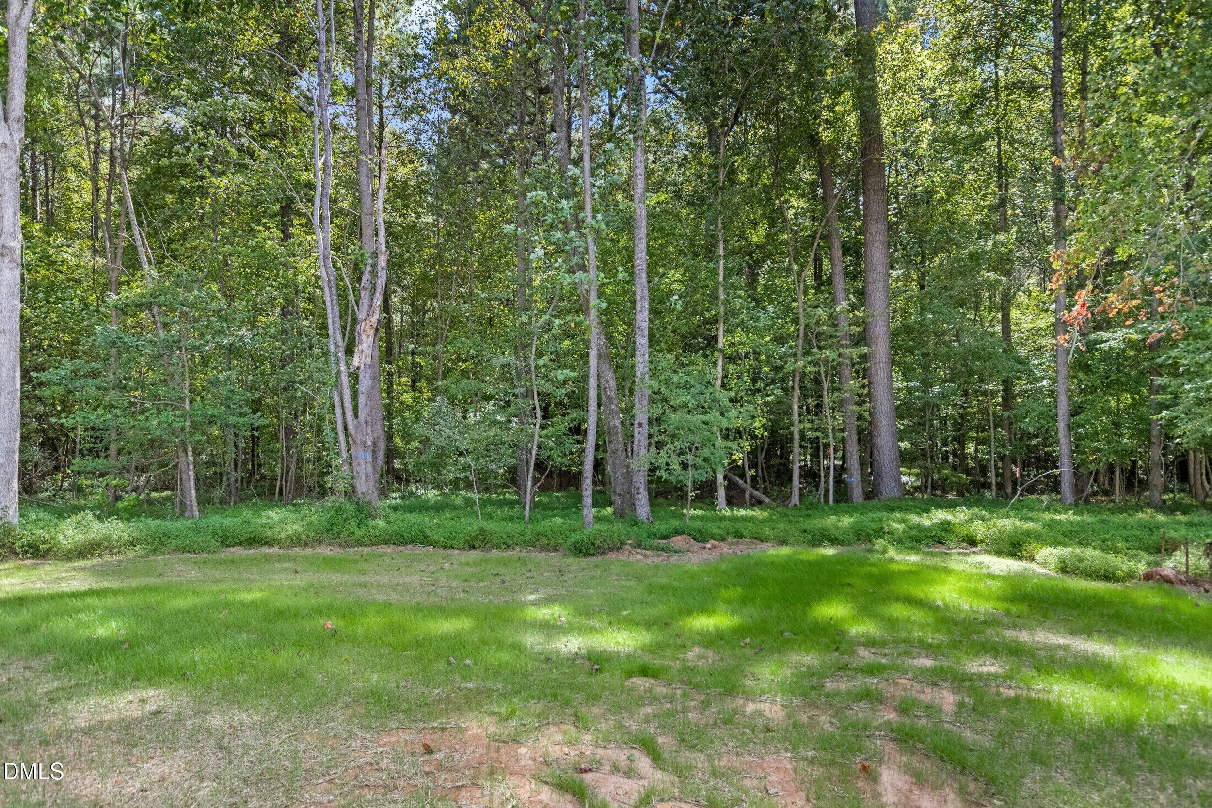 925 Lynch Road Selma, NC 27576 - Photo 30 of 39 a view of a grassy field with trees in the background