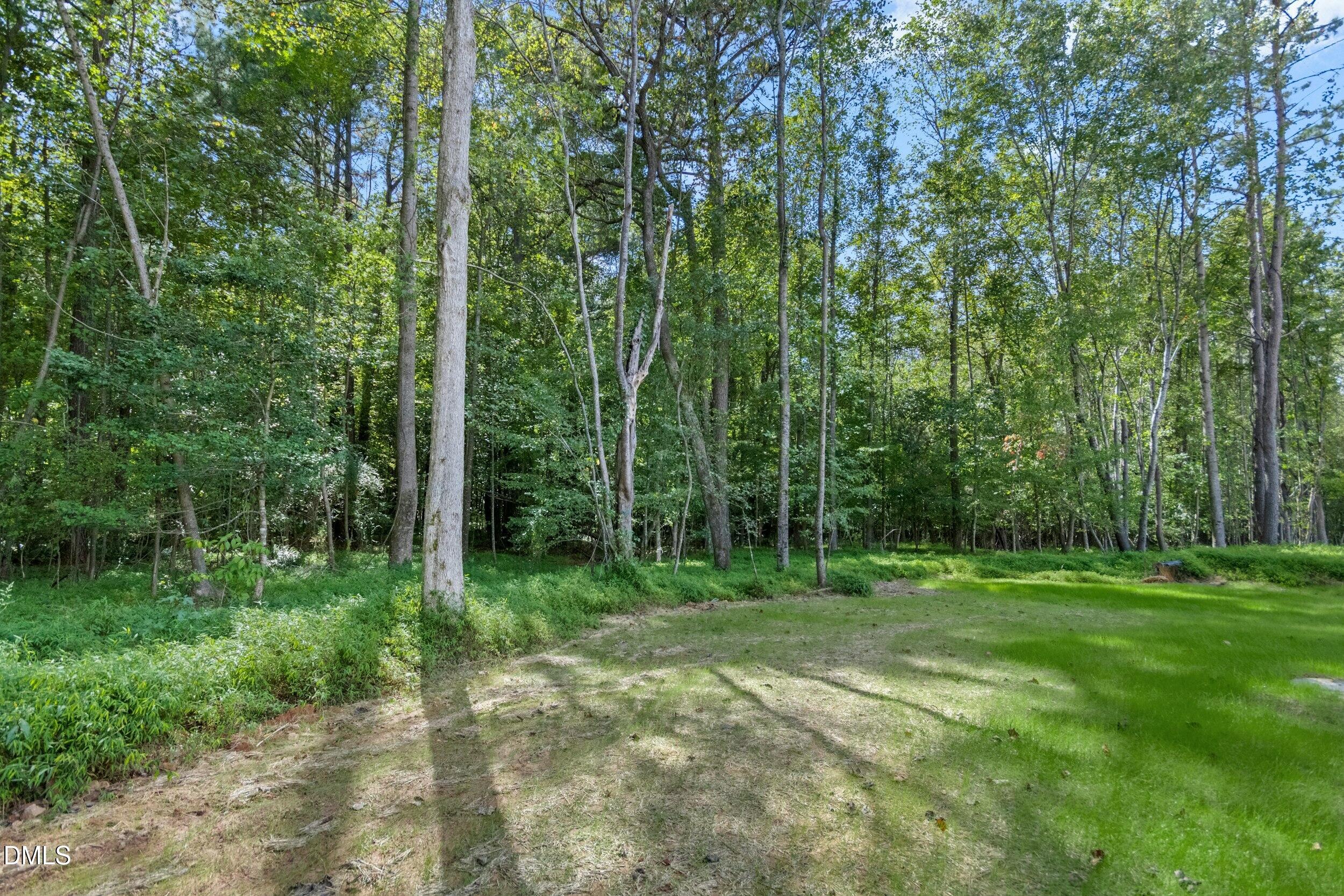925 Lynch Road Selma, NC 27576 - Photo 31 of 39 a view of a grassy field with trees in the background