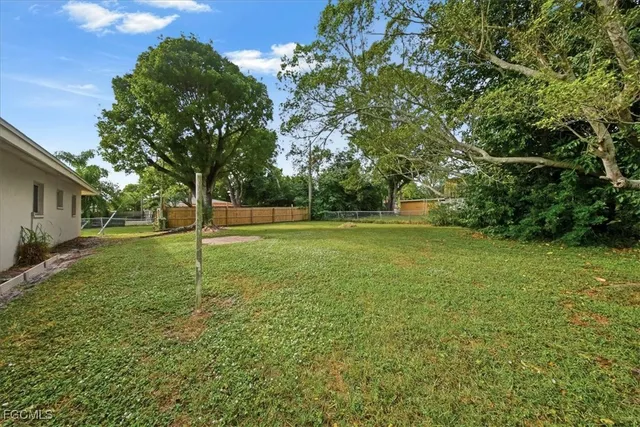a view of a tree in a yard