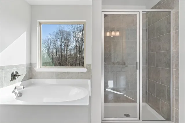 a bathroom with a bathtub and a shower