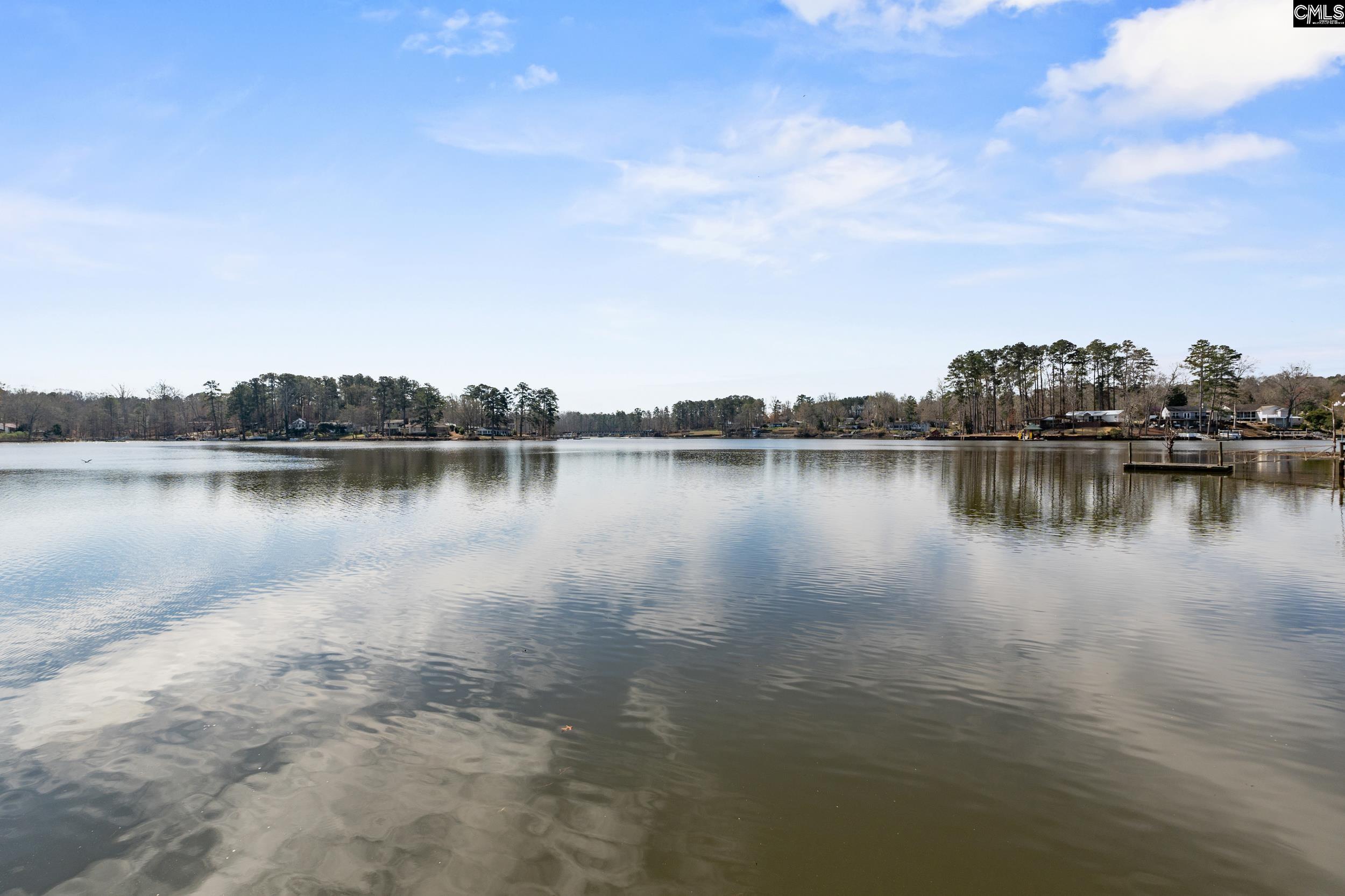 115 Rocky Ridge Road Leesville, SC 29070 - Photo 7 of 51 a view of a lake view
