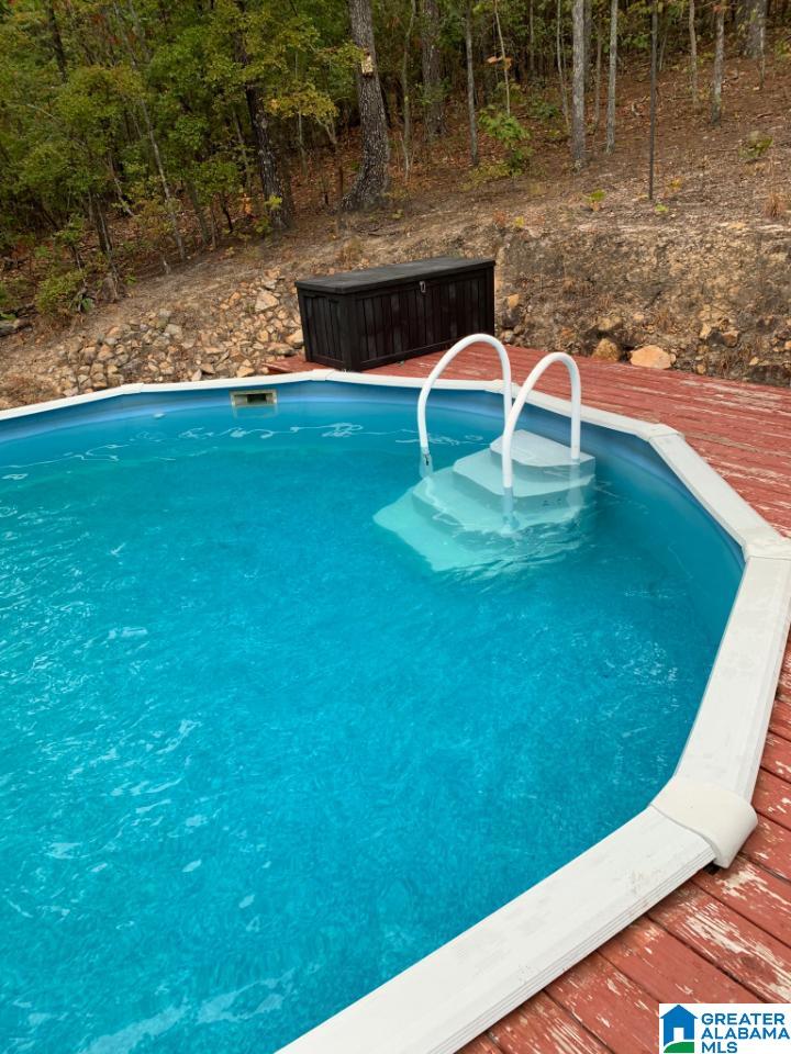 817 Cottaquilla Road Jacksonville, AL 36265 - Photo 33 of 36