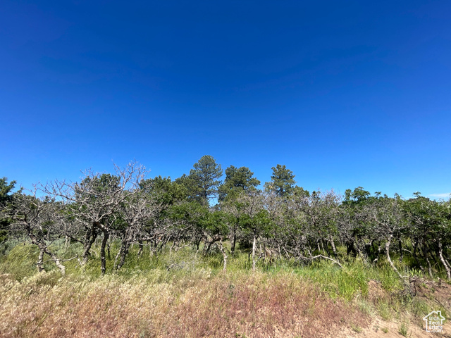 0 North Creek Road Monticello, UT 84535 - Photo 11 of 13 View of nature