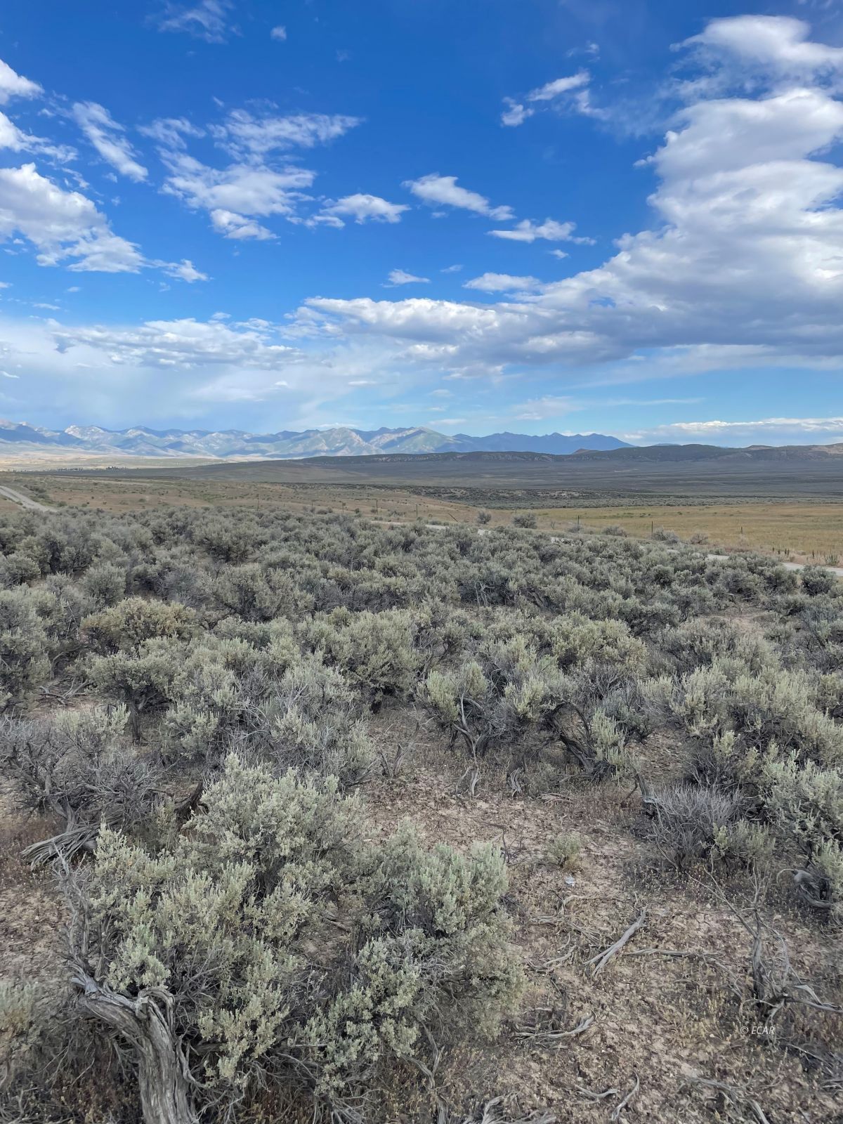Sherman Ave Spring Creek Spring Creek, NV 89815 - Photo 2 of 13
