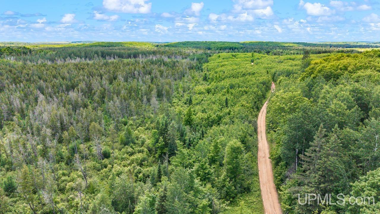 1188 Northwest South Ross Wells Road Felch, MI 49831 - Photo 12 of 14