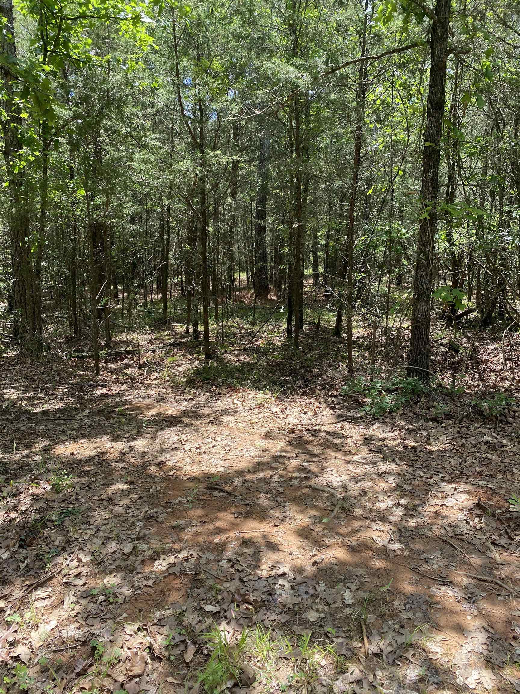 149 Sinclair Dirt Road Union, SC 29379 - Photo 13 of 14