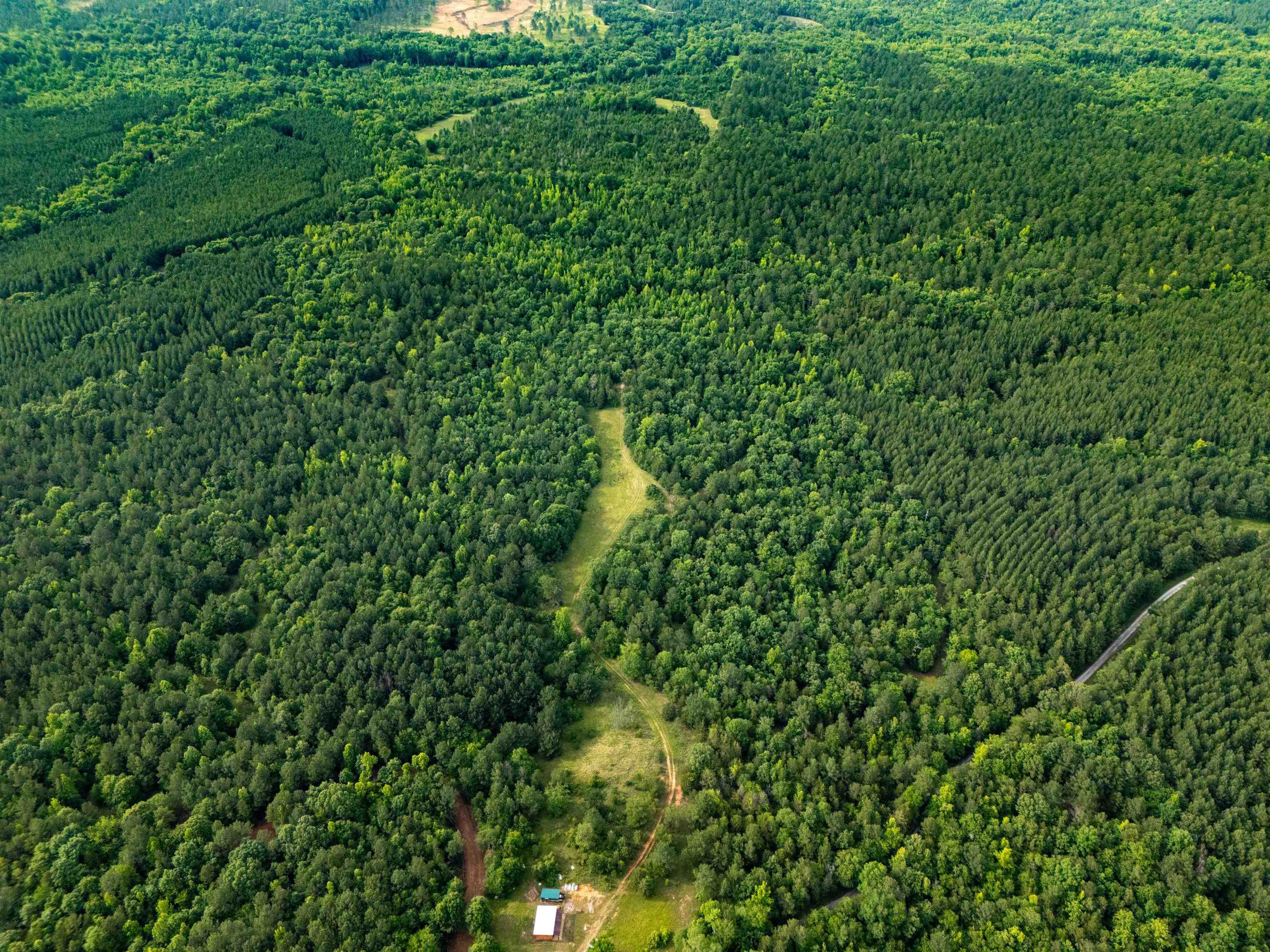 149 Sinclair Dirt Road Union, SC 29379 - Photo 8 of 14