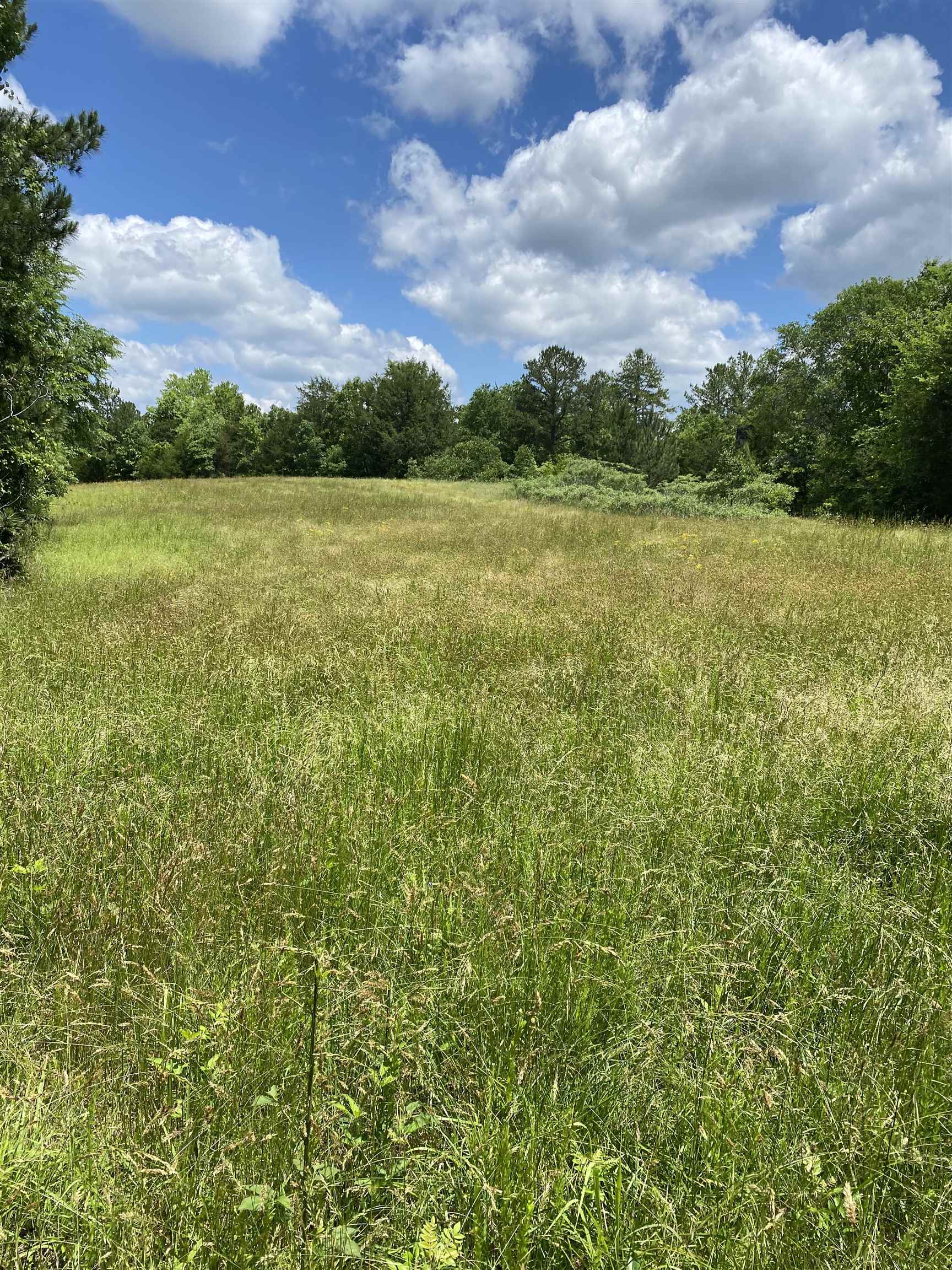 149 Sinclair Dirt Road Union, SC 29379 - Photo 9 of 14