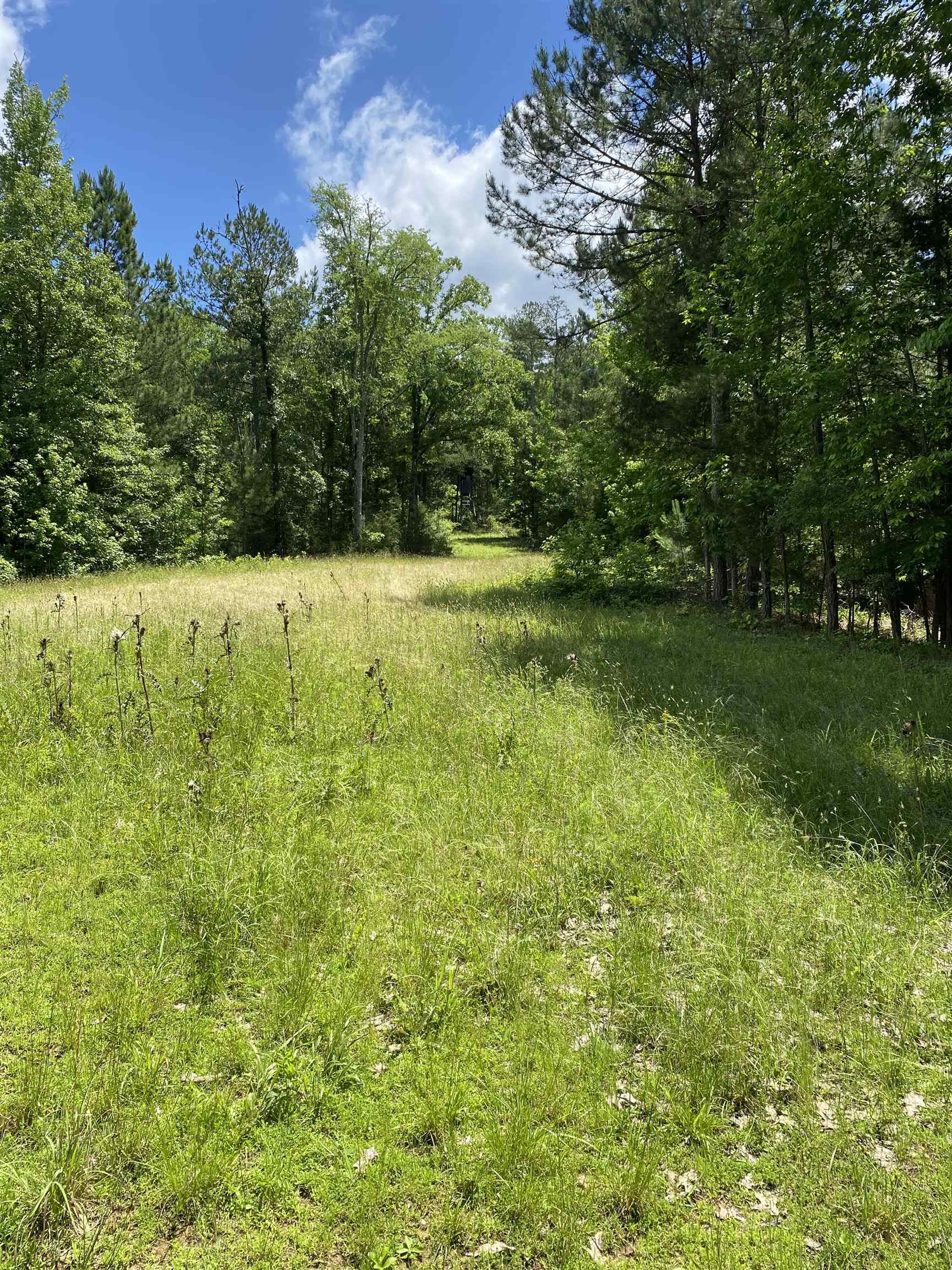 149 Sinclair Dirt Road Union, SC 29379 - Photo 10 of 14