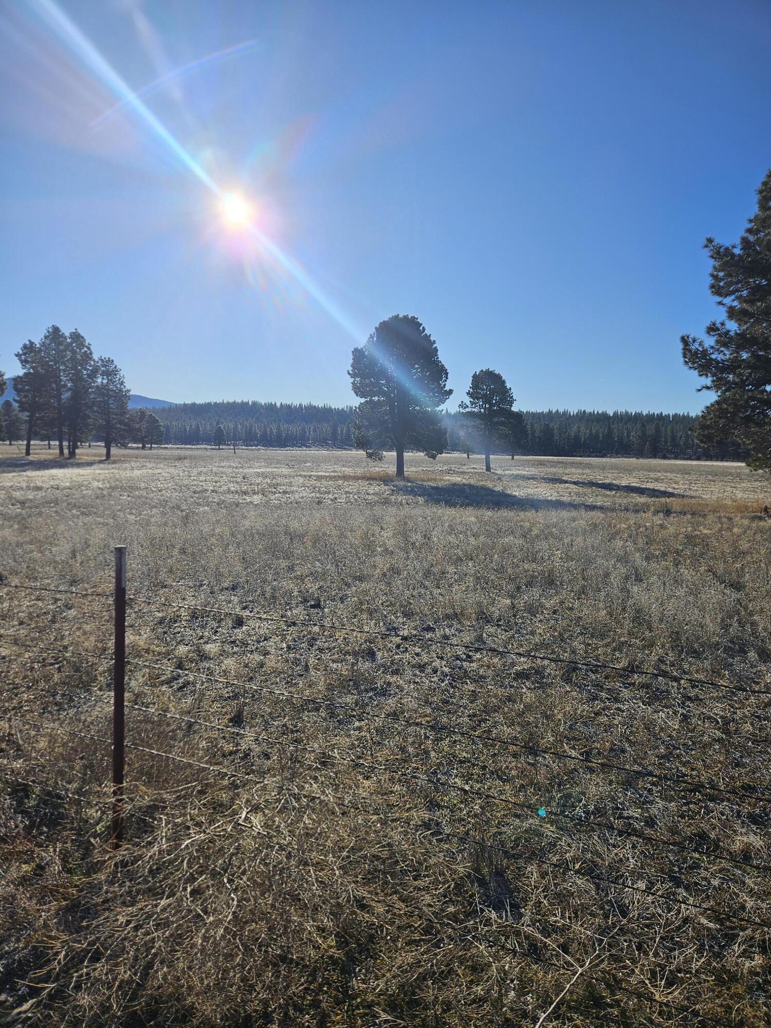 31747 Godowa Springs Road Beatty, OR 97621 - Photo 5 of 23 20260117_093748