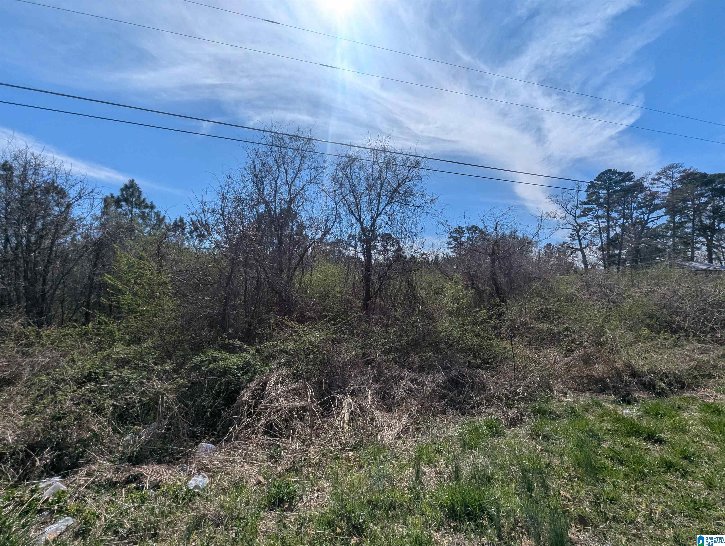 0 Spiral Street, Unit 2 Anniston, AL 36201 - Photo 9 of 15