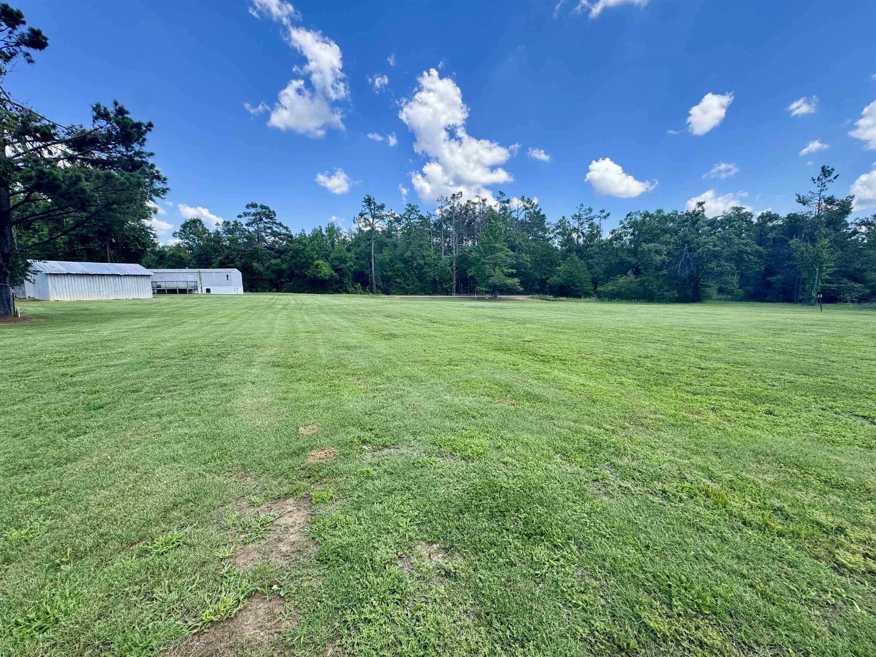 2511 Watkins Road Michie, TN 38357 - Photo 35 of 40 Expansive green lawn with a tree line border