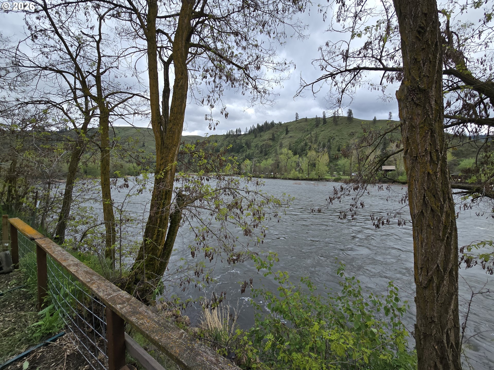 84665 Grande Ronde Road Enterprise, OR 97828 - Photo 19 of 27 a view of a forest with mountain view
