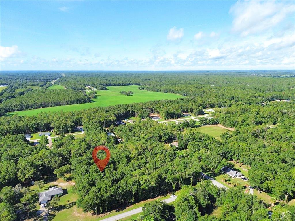 Tbd Southwest 57th Place Dunnellon, FL 34431 - Photo 2 of 2