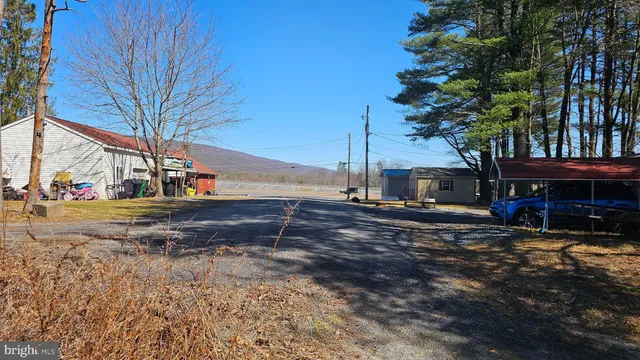 a view of a park with bench and trees