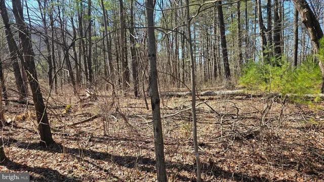 a view of a backyard of the building