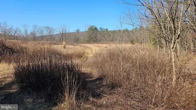 a view of backyard with green space