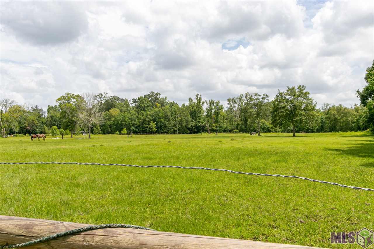 48087 Sam Martin Road St. Amant, LA 70774 - Photo 19 of 28 Gallery Image 19
