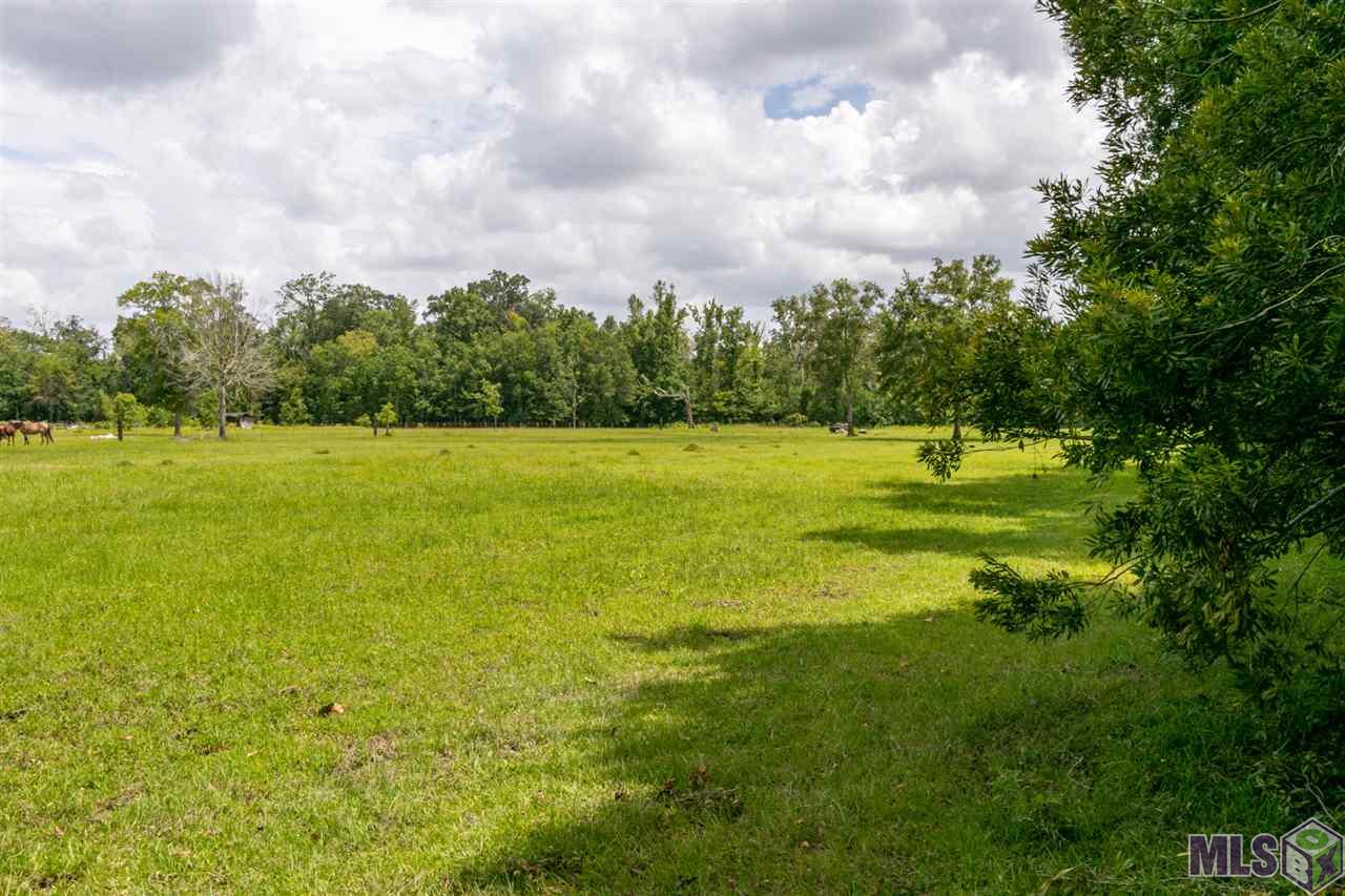 48087 Sam Martin Road St. Amant, LA 70774 - Photo 20 of 28 Gallery Image 20