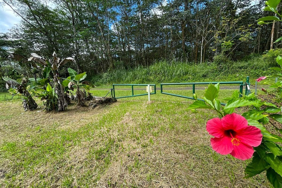 250 Ginger Road Pahoa, HI 96778 - Photo 3 of 24 Gallery Image 3