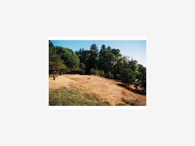 14215 Long Ridge Road Los Gatos, CA 95033 - Photo 3 of 9 Gallery Image 3