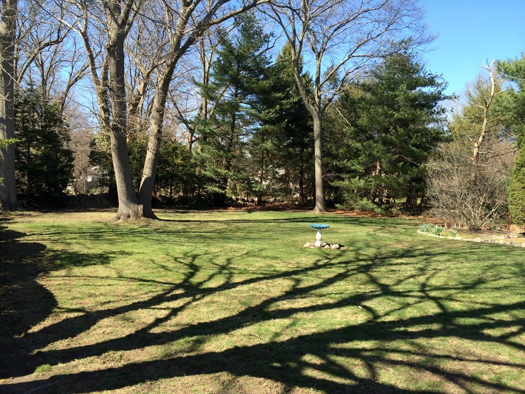 14 White Road Braintree, MA 02184 - Photo 5 of 17 Gallery Image 5