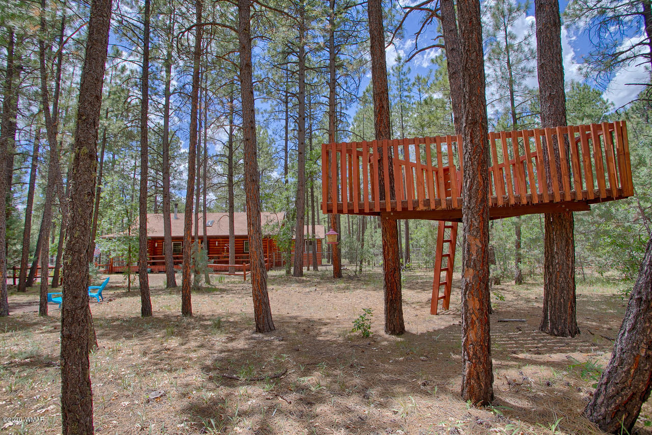 1460 Valley Road Lakeside, AZ 85929 - Photo 8 of 29