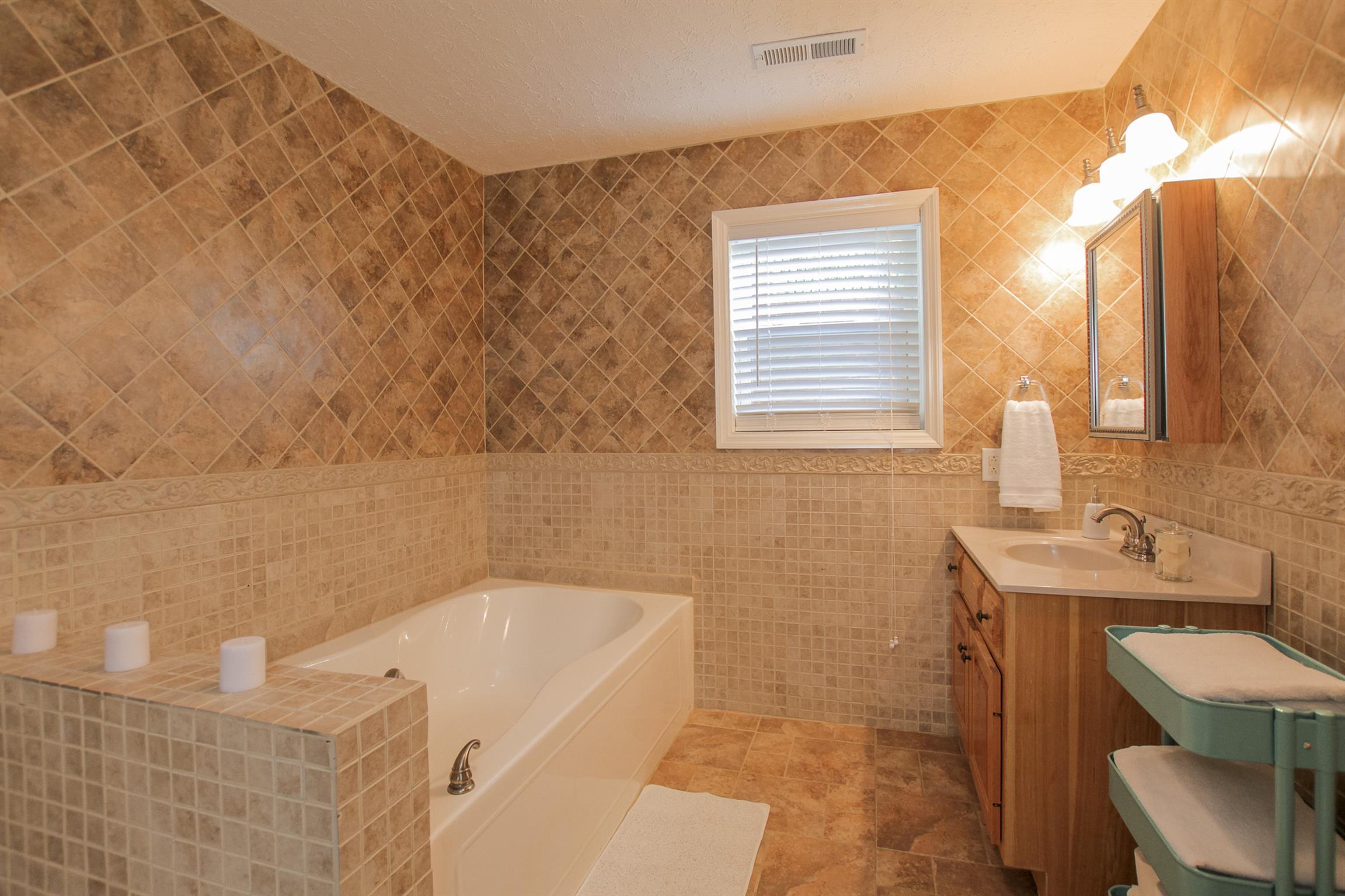 215 Buffalo Road Pleasant Shade, TN 37145 - Photo 29 of 30 a bathroom with a sink a toilet and tub
