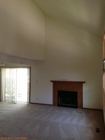 219 Teak Lane Streamwood, IL 60107 - Photo 2 of 6