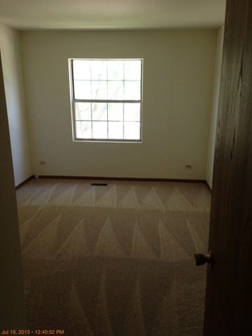 219 Teak Lane Streamwood, IL 60107 - Photo 6 of 6