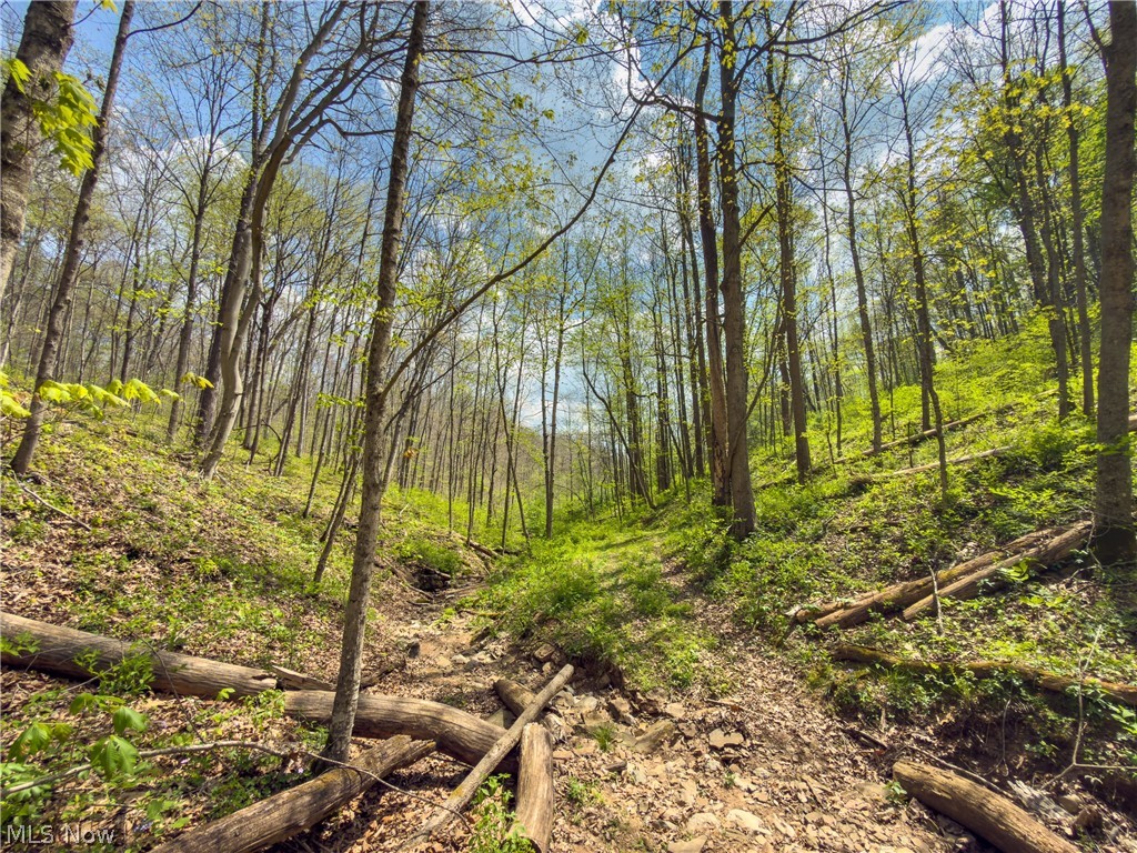 Beardmore Road Wingett Run, OH 45789 - Photo 25 of 43