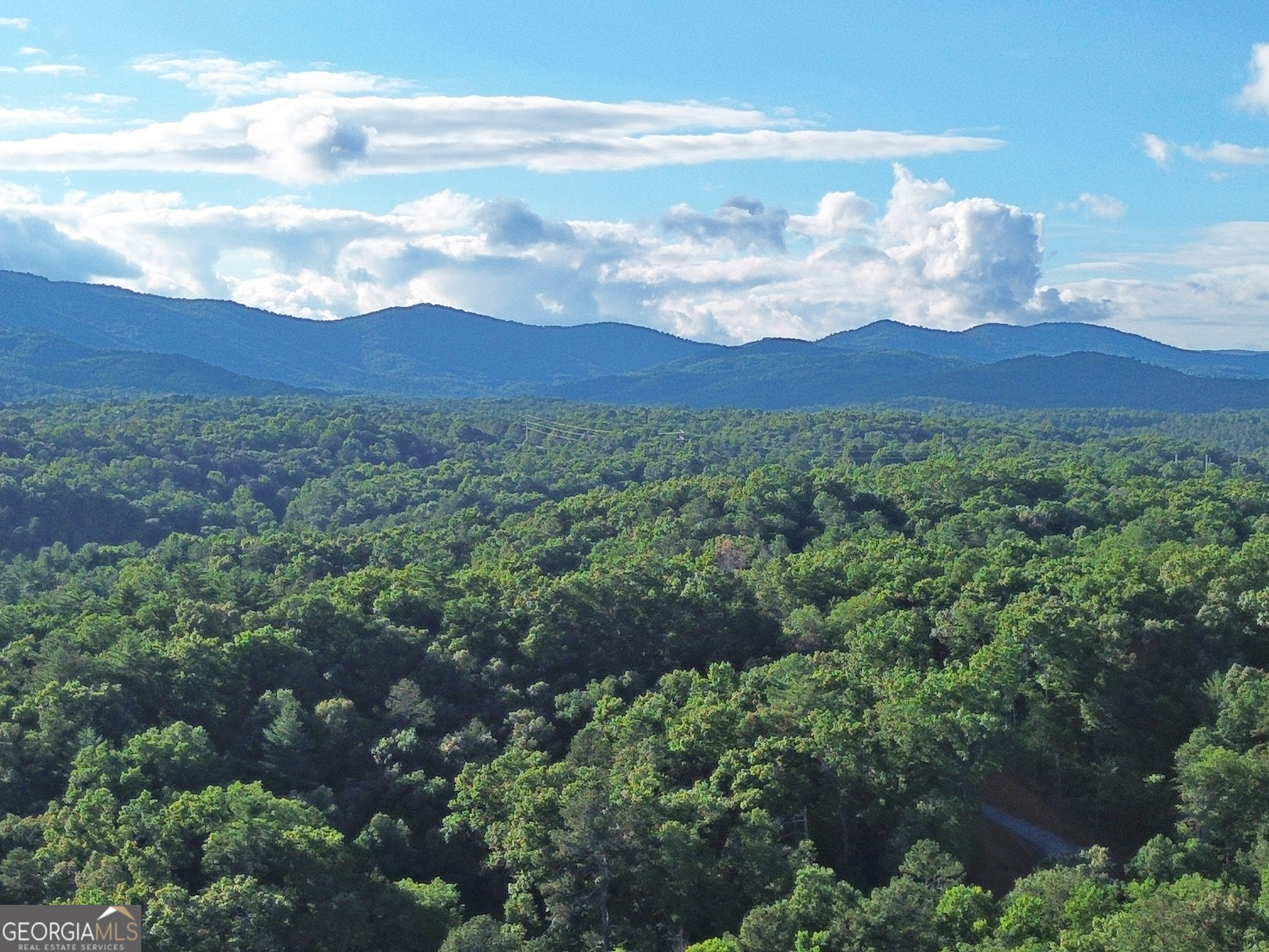 Lot 18 Mt Springer Road Ellijay, GA 30540 - Photo 2 of 31